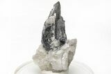 Metallic Wodginite Crystals - Brazil #214516-1